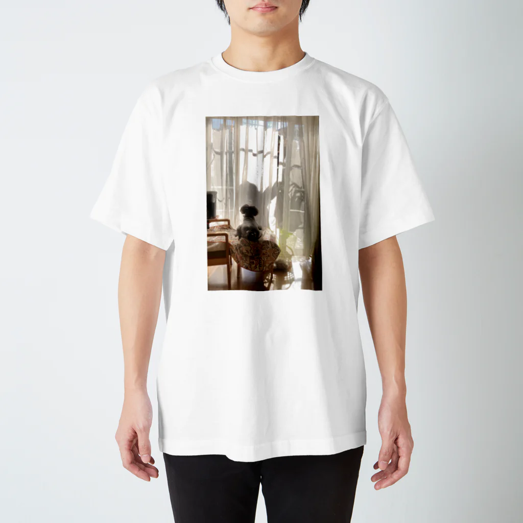 愛犬のグッズの日だまり スタンダードTシャツ