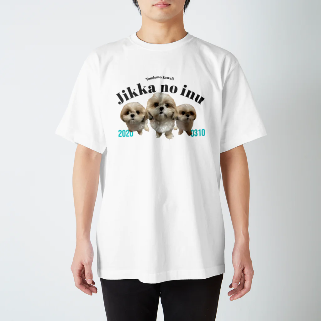 実家のいぬのとんでもかわいい実家のいぬ スタンダードTシャツ