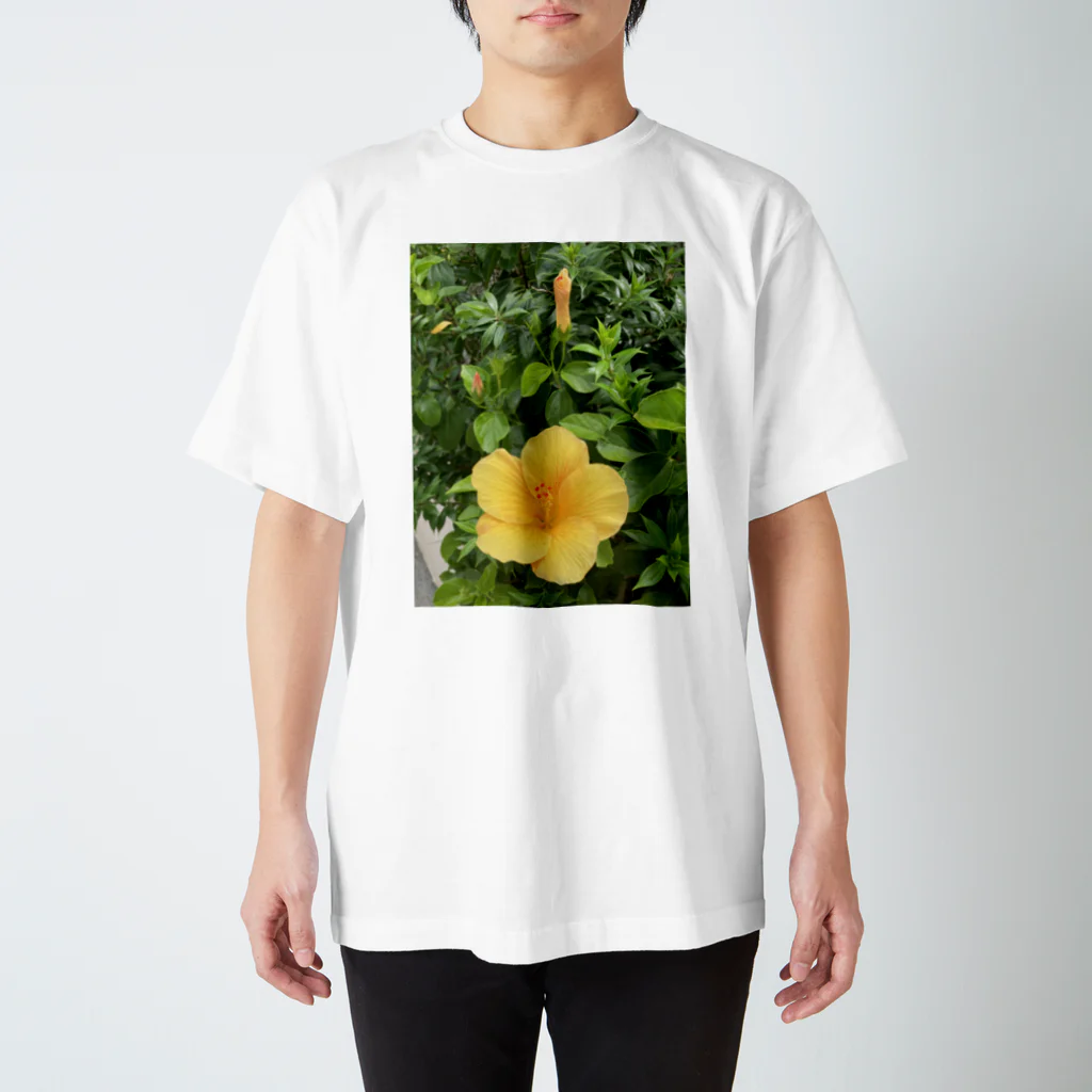 nature islandのハイビスカス スタンダードTシャツ