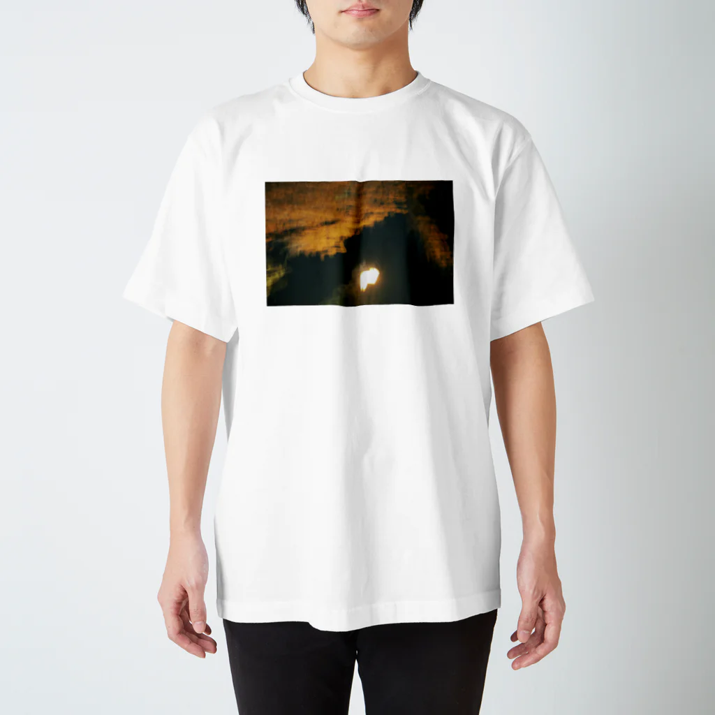 なつこ。の油絵のような写真Ｔシャツ スタンダードTシャツ