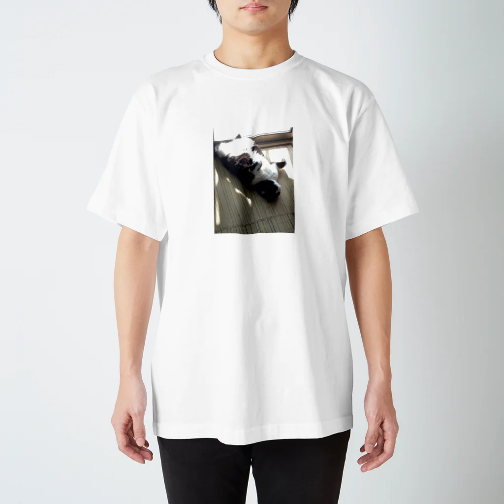 あなたの手の猫の日向ぼっこ Regular Fit T-Shirt