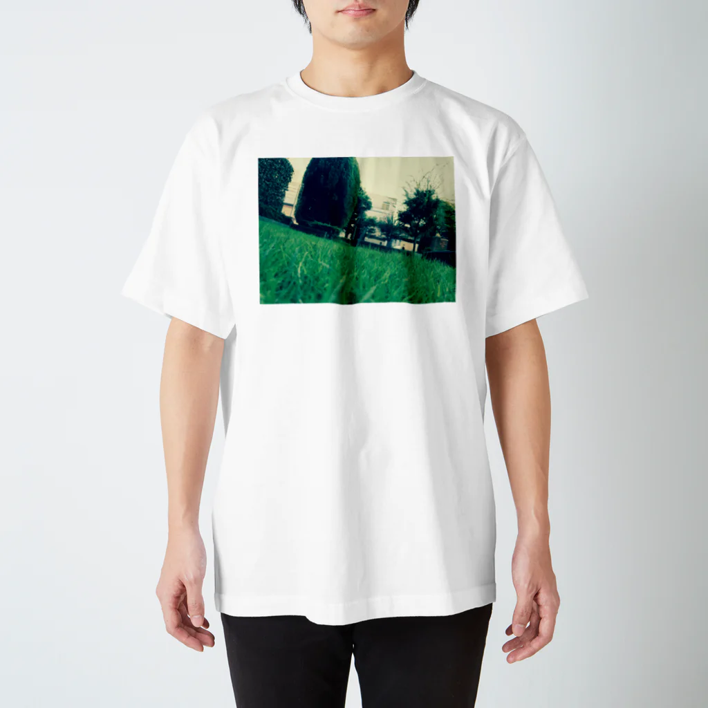 kin_love_terabeの緑緑町には緑 スタンダードTシャツ