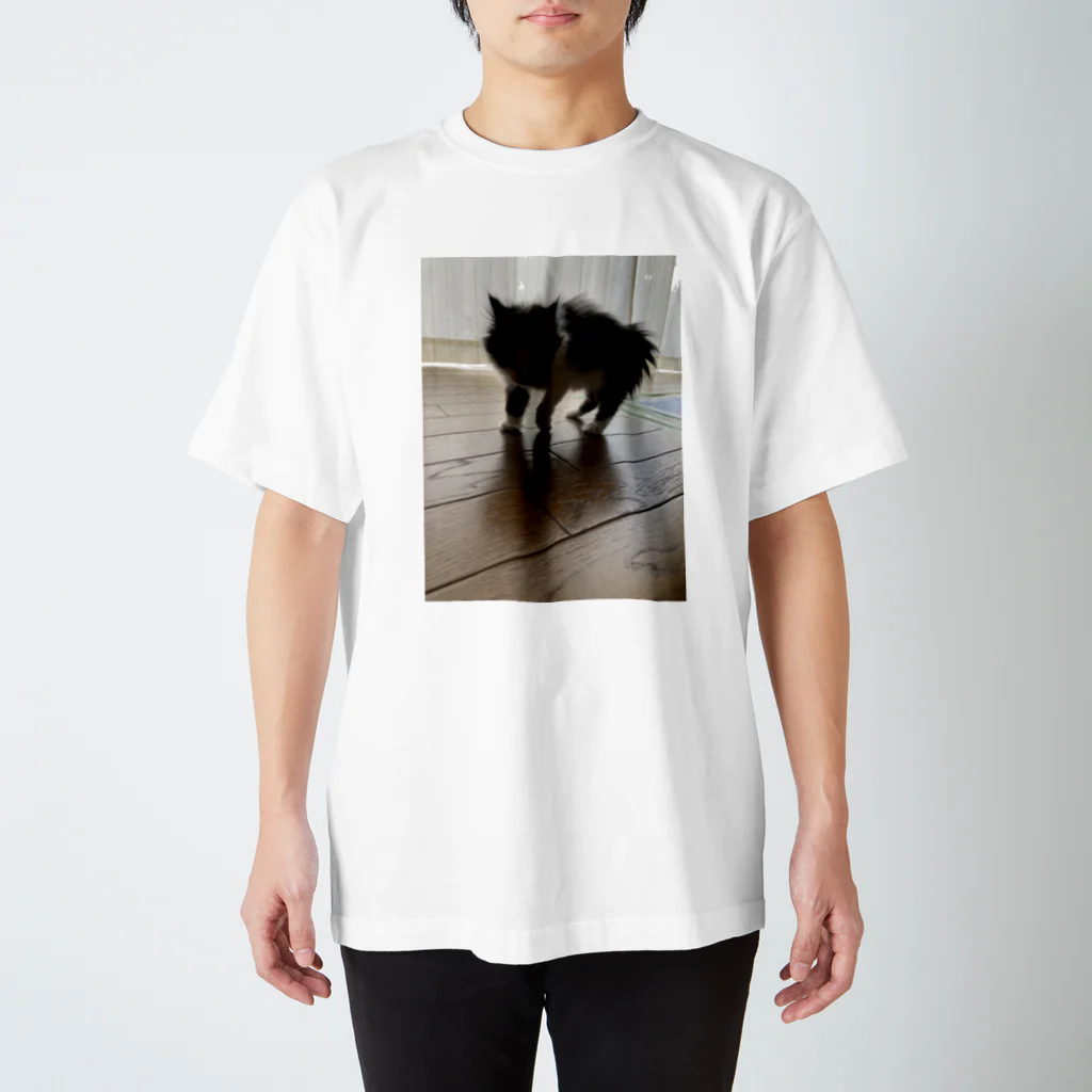 センチメンタルリボンちゃんの逆光逆毛猫 スタンダードTシャツ