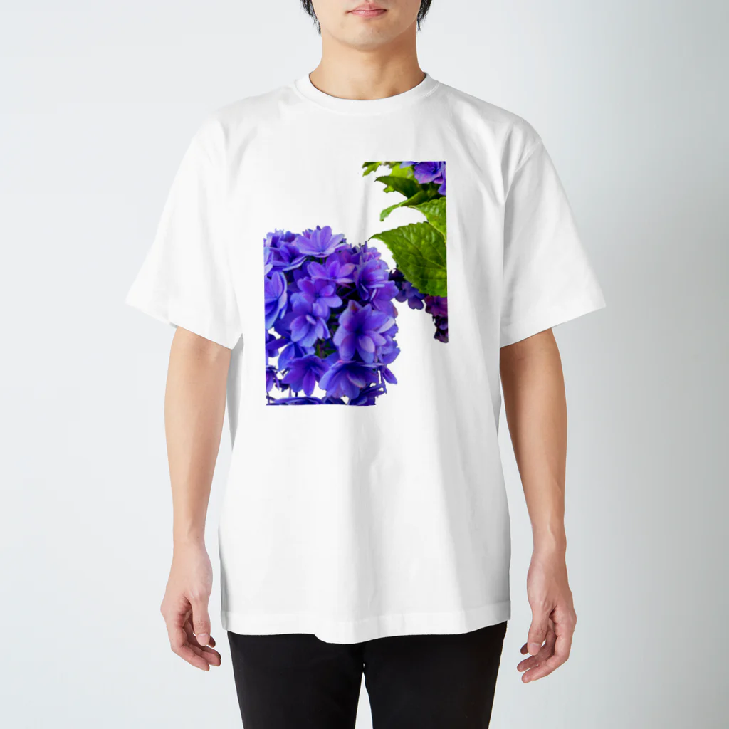 ナオンなおなおの紫陽花 星あつめ Regular Fit T-Shirt