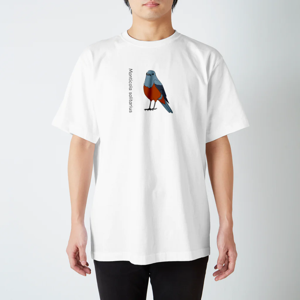 おぐらしほのイソヒヨドリ_正面 Regular Fit T-Shirt