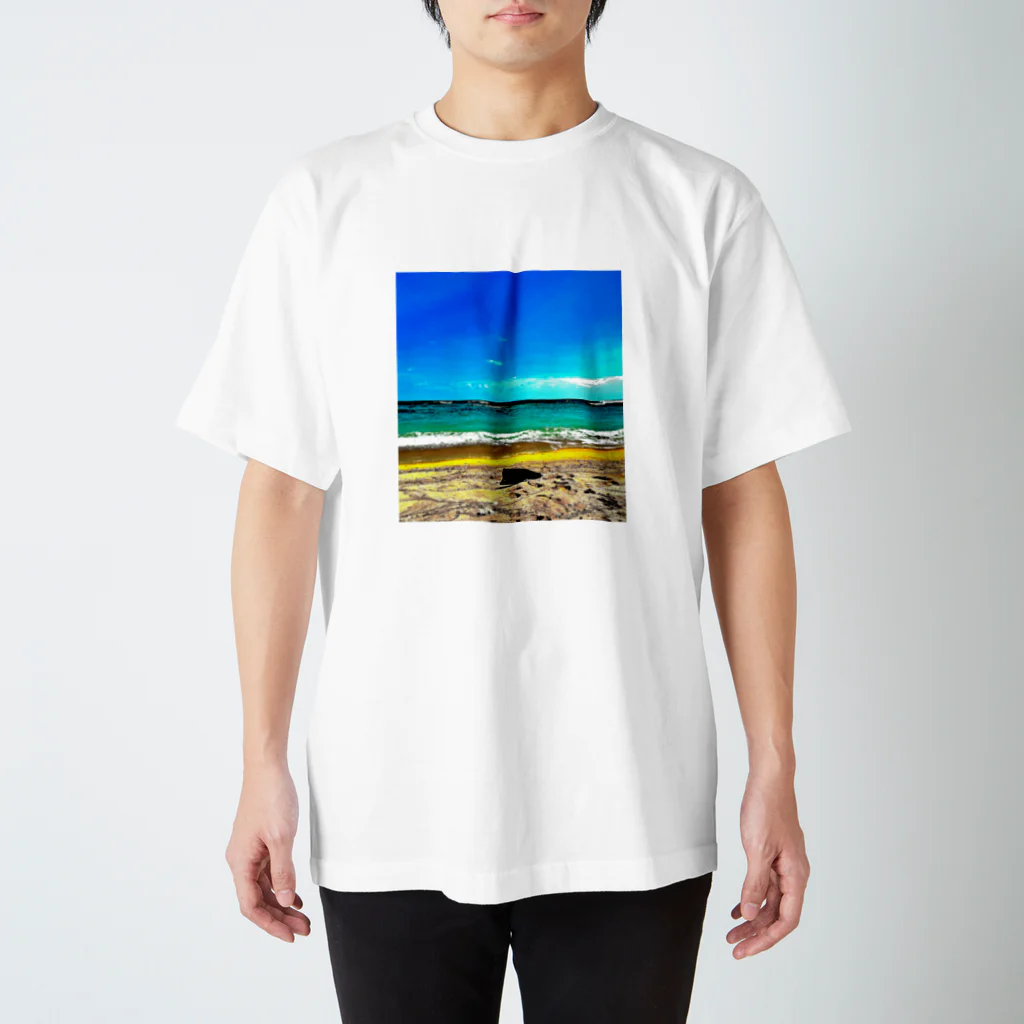 Cafe Lounge & Library pratimākrrm cĥā -ゆるやかな彫刻-のSLOW TIME 〜 太平洋と東シナ海の間 〜 スタンダードTシャツ