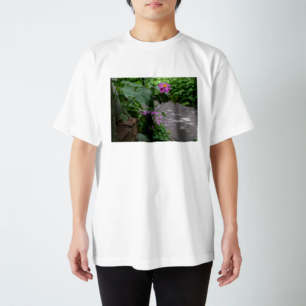 🌸さくらしめじ🍄 の池田ん家のミドリとピンク達➀ Regular Fit T-Shirt