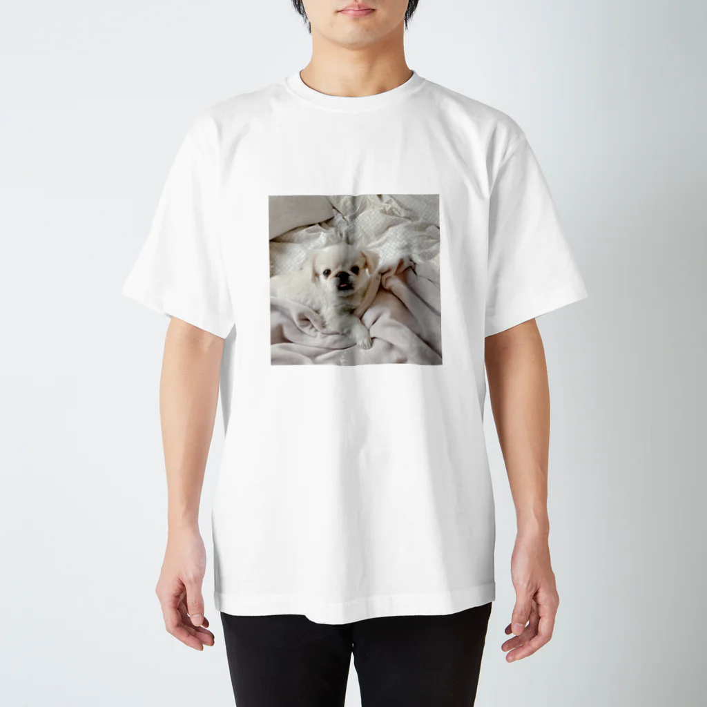 uchinoinumiteの添い寝に誘う犬 スタンダードTシャツ