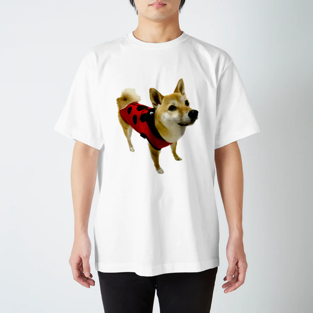 柴犬おかゆのグッズ販売店のてんとうむし　おかゆ スタンダードTシャツ