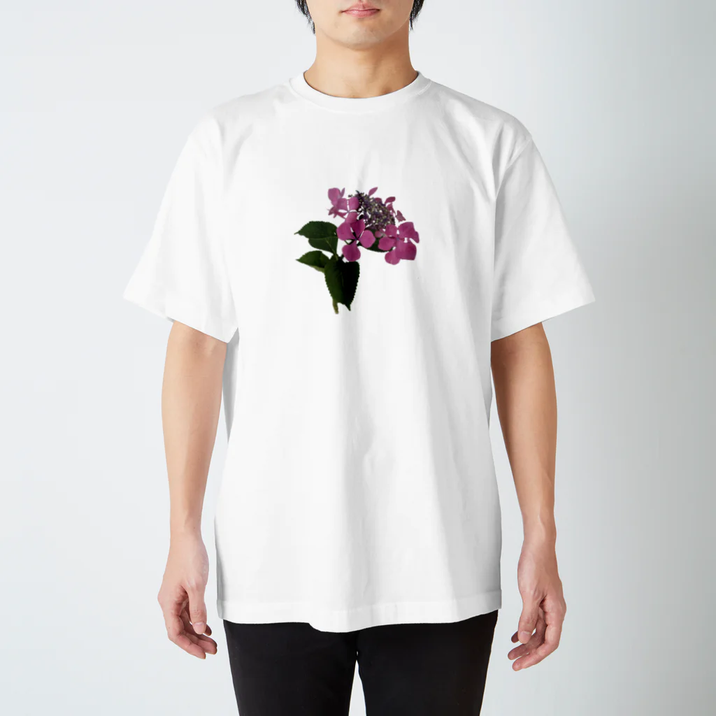 Ficusの紫陽花 スタンダードTシャツ