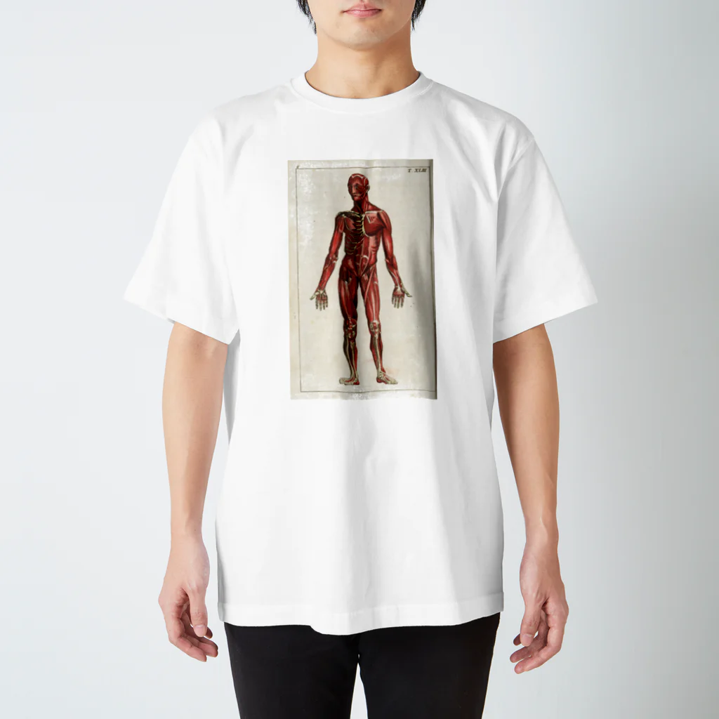 J. Jeffery Print Galleryの人体生理学 スタンダードTシャツ