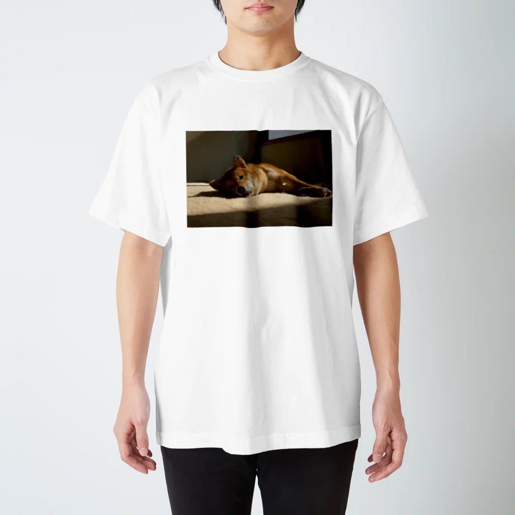 朔工房の夕焼けの柴犬 スタンダードTシャツ