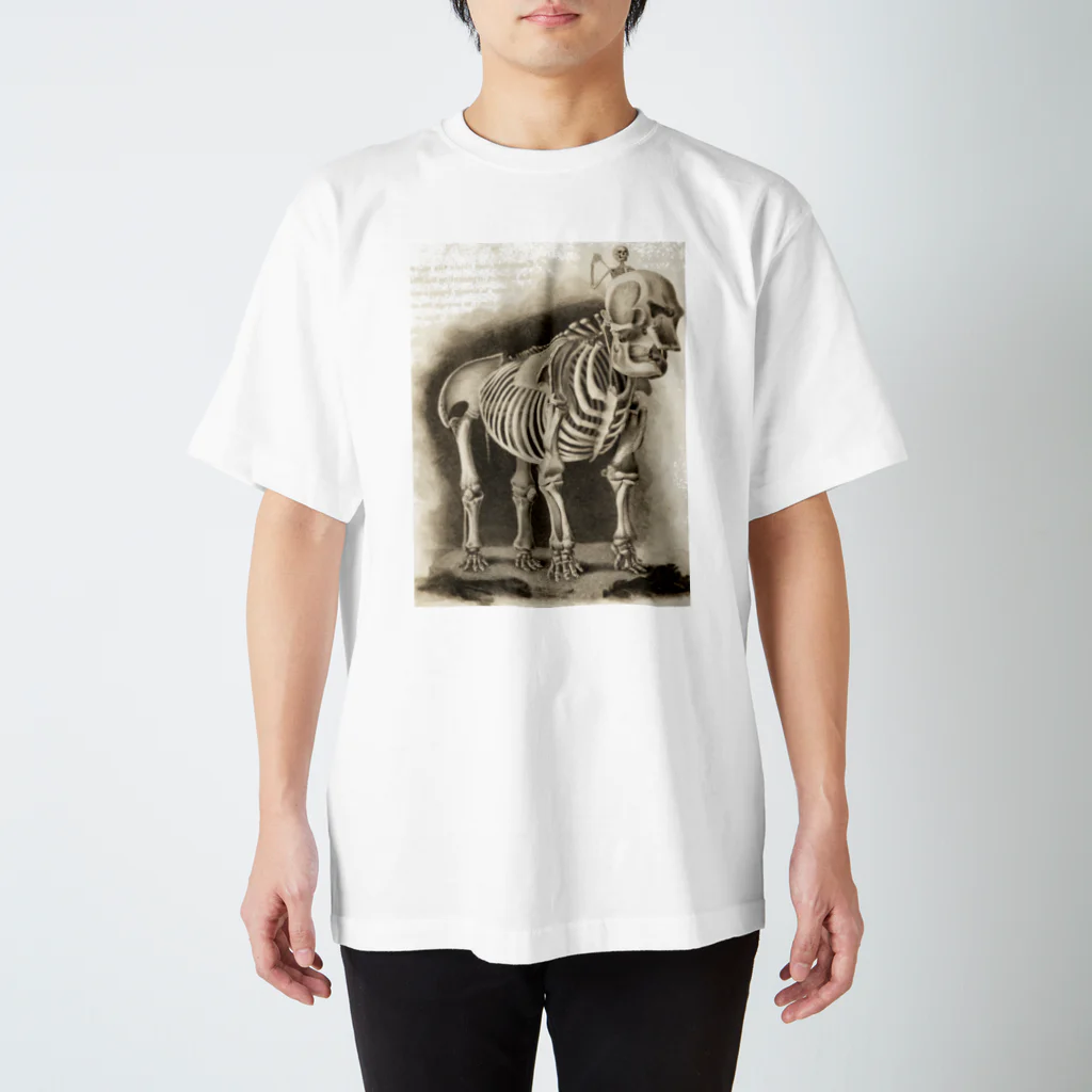 J. Jeffery Print Galleryの銅版画による人体骸骨 スタンダードTシャツ