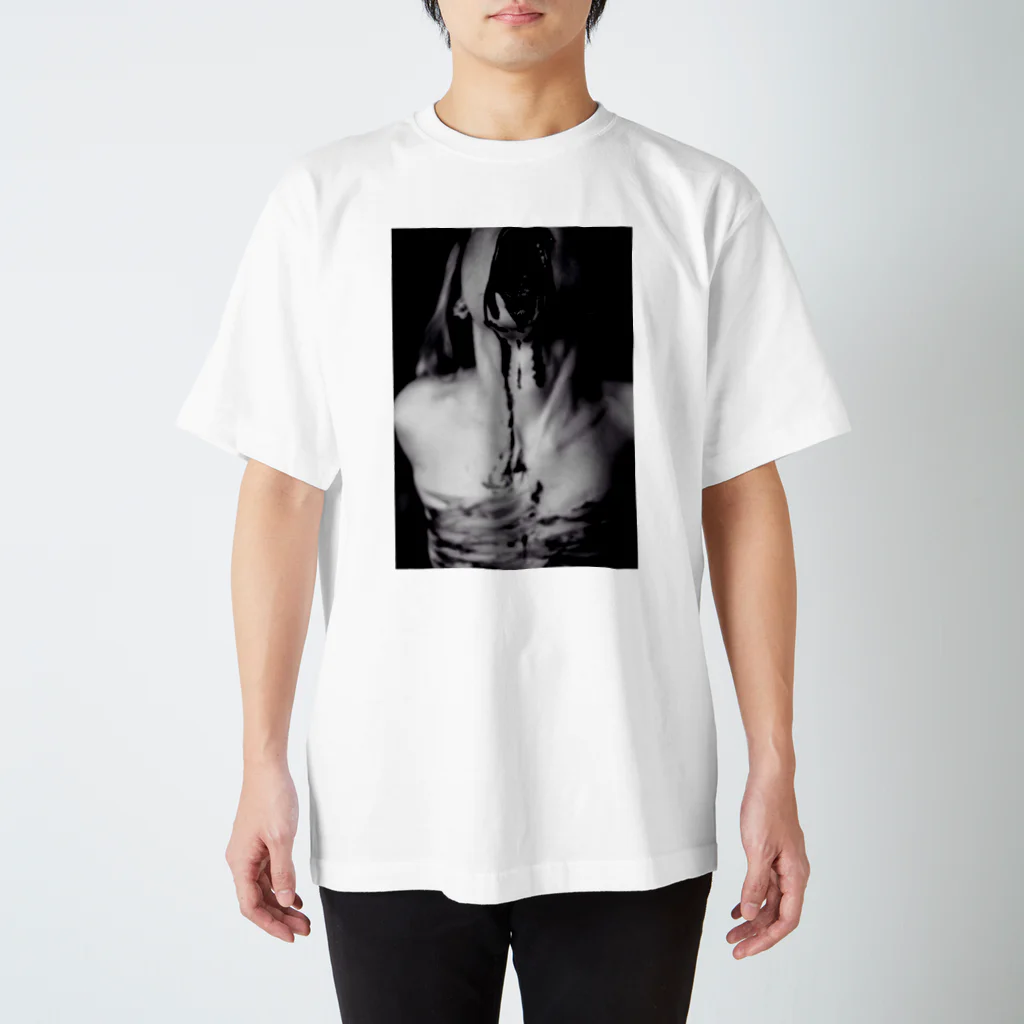 ｶﾗｻﾜのTシャツ Regular Fit T-Shirt