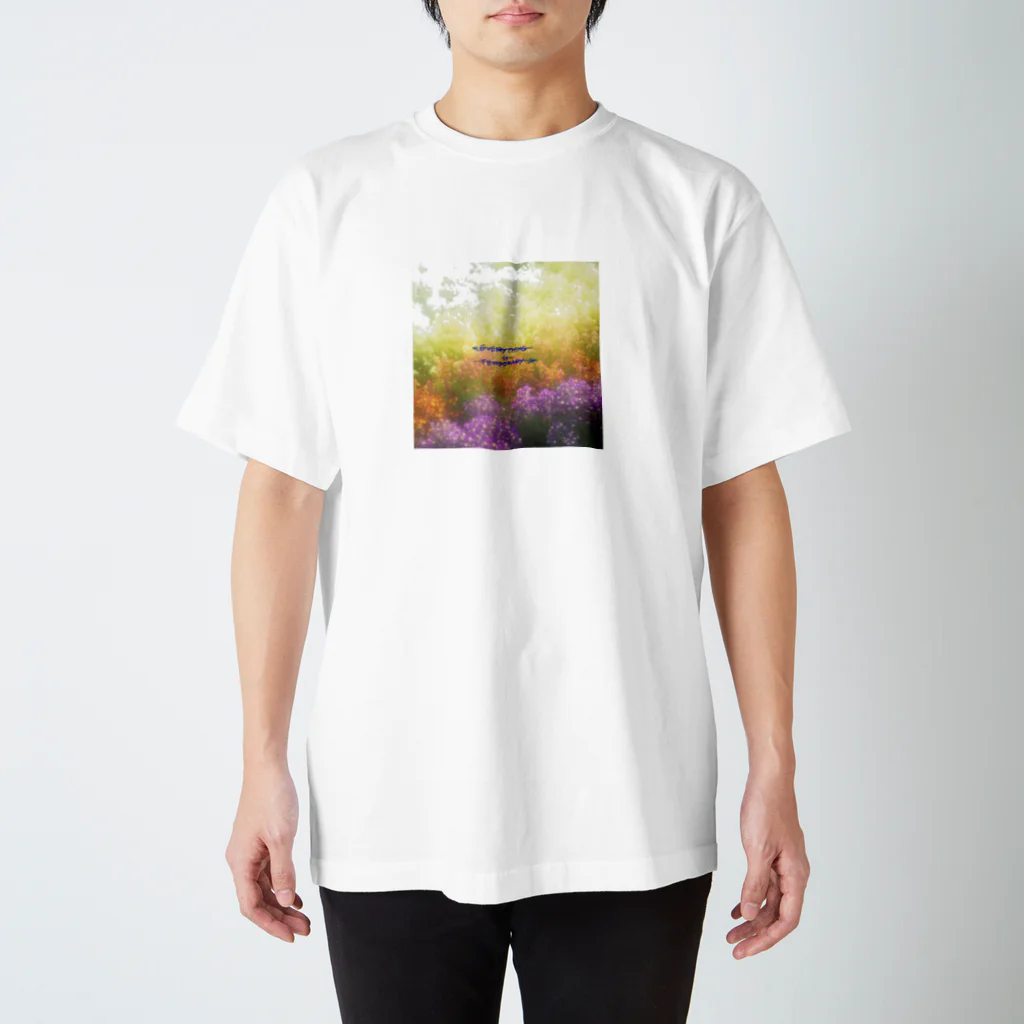 swimming_fruitsのeverything is temporary スタンダードTシャツ