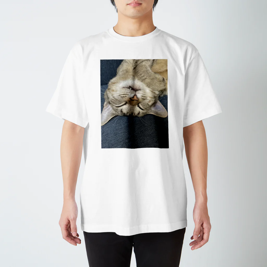 みっちのキジトラ猫のくるみちゃん スタンダードTシャツ