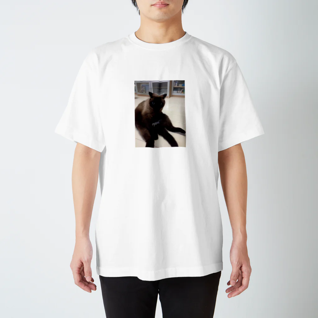 あなたの手の猫の日常 スタンダードTシャツ