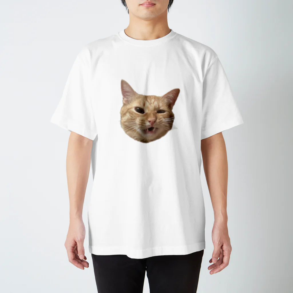 にゃんまにあのやんのか猫 スタンダードTシャツ