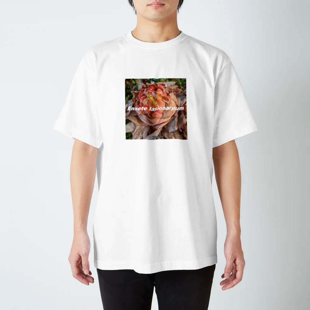 botaniaxの地湧金蓮 Regular Fit T-Shirt