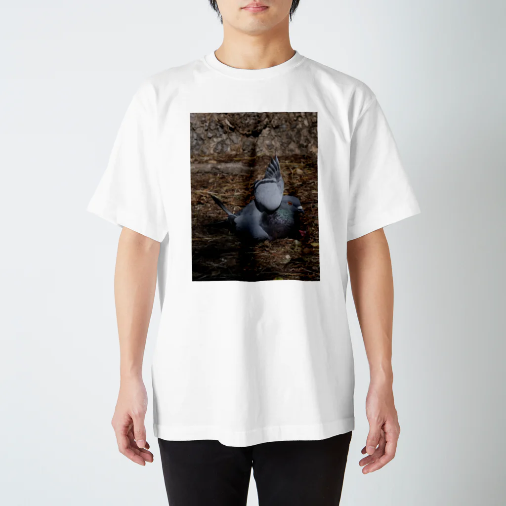 H4Mの世界のバグみたいな鳩 Regular Fit T-Shirt