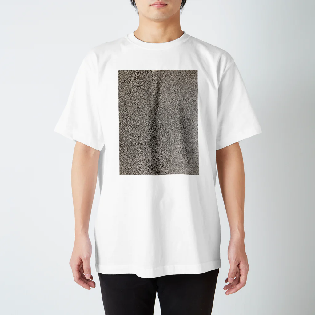 THE NILのASFALT Regular Fit T-Shirt