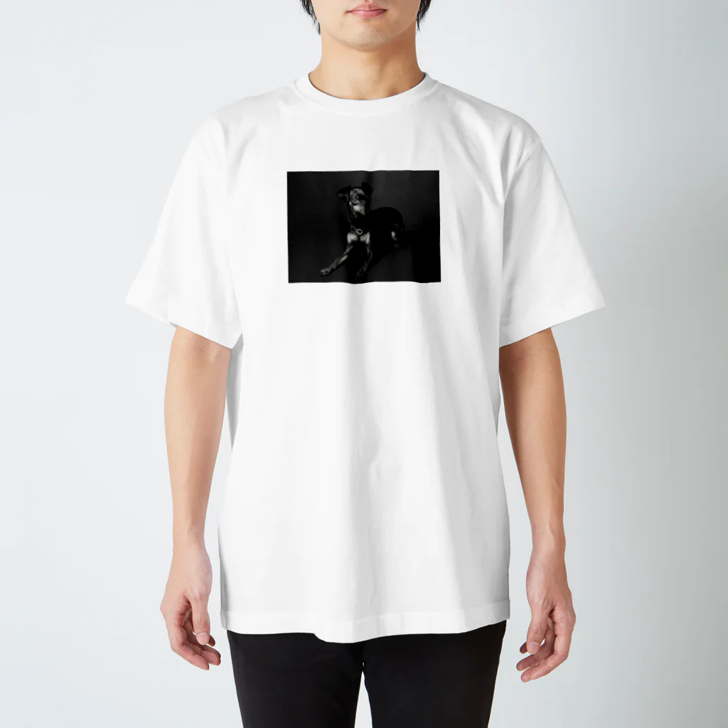 roger_4kgのROGER_Ver.1 スタンダードTシャツ