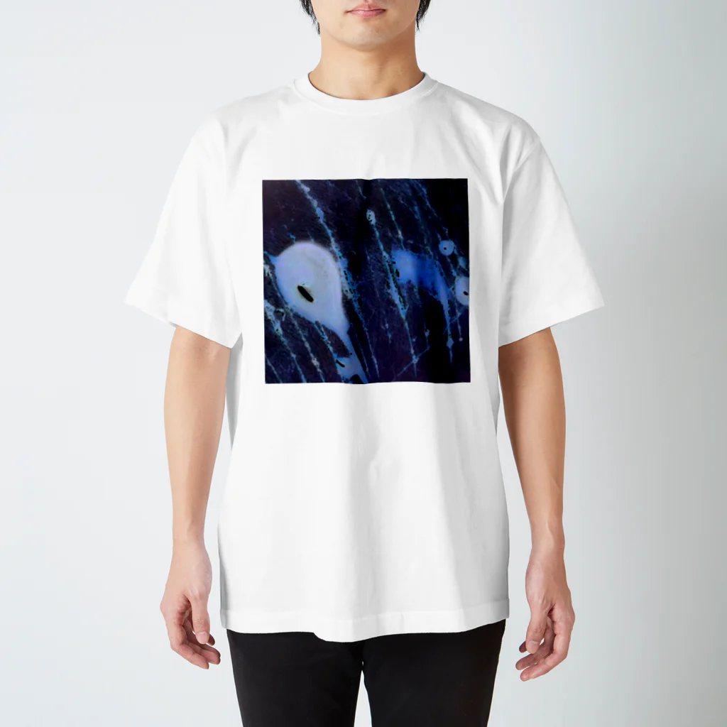 自傷銀河 | self-harm galaxyのShooting Scratch Galaxy 流れ傷銀河 (WCG276) スタンダードTシャツ