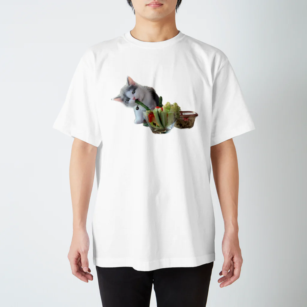 いくママ 猫との毎日の野菜とおにぎり スタンダードTシャツ