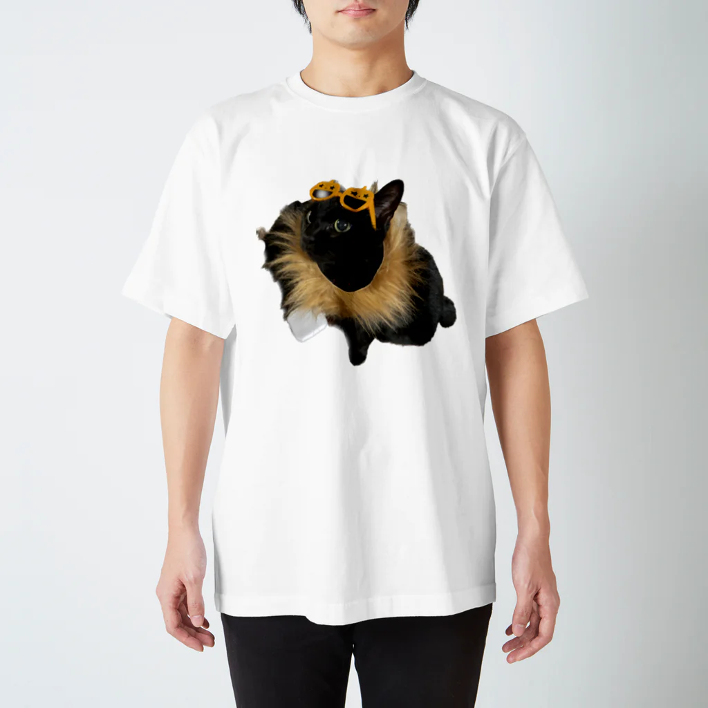 いくママ 猫との毎日のパリピイクラ スタンダードTシャツ