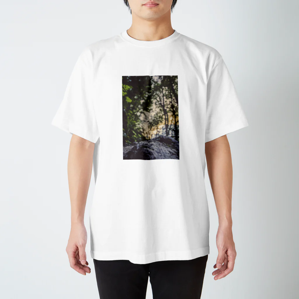 NAKAGAWA Tのstone and woods スタンダードTシャツ