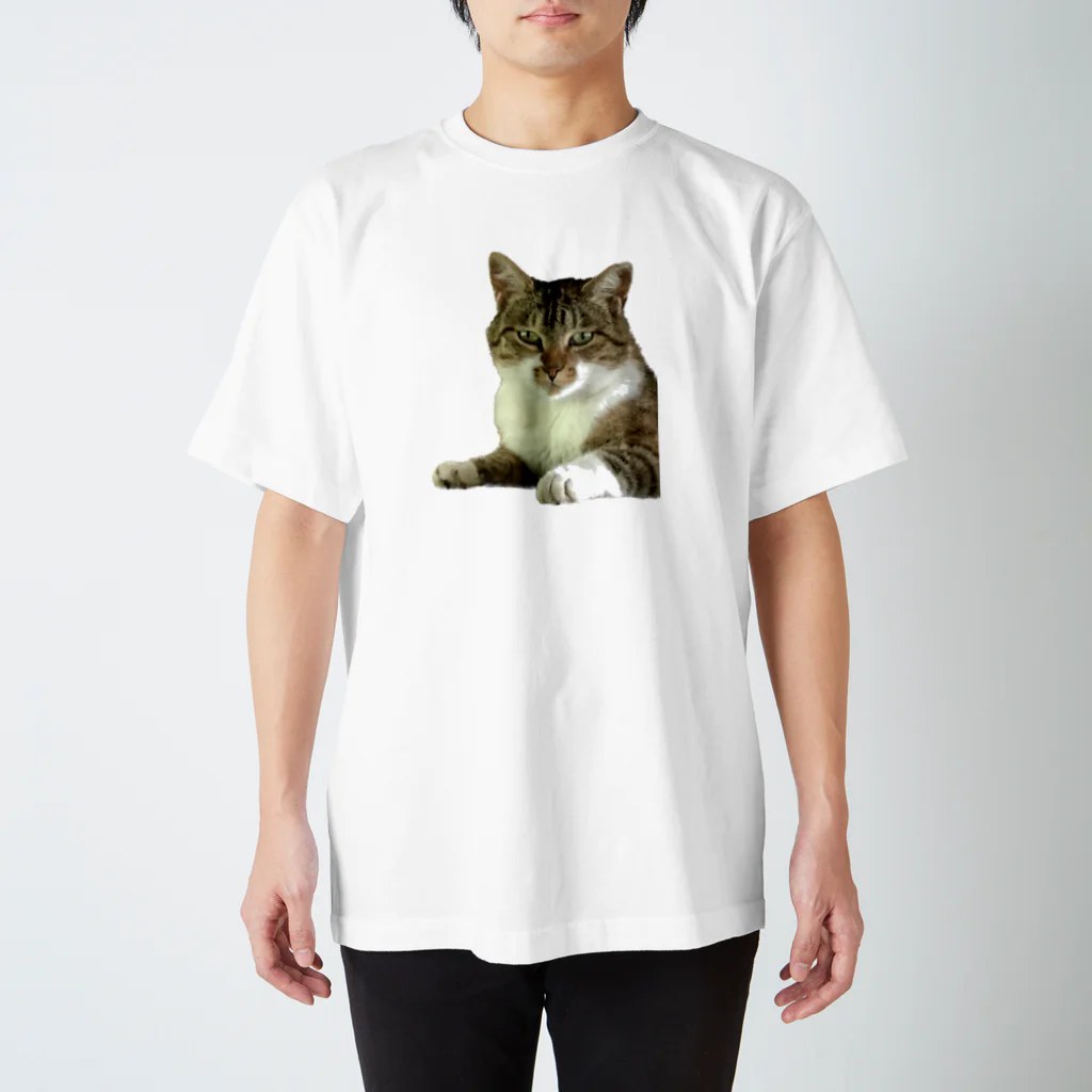 SHOPひばさんのキリッとした顔のねこ スタンダードTシャツ