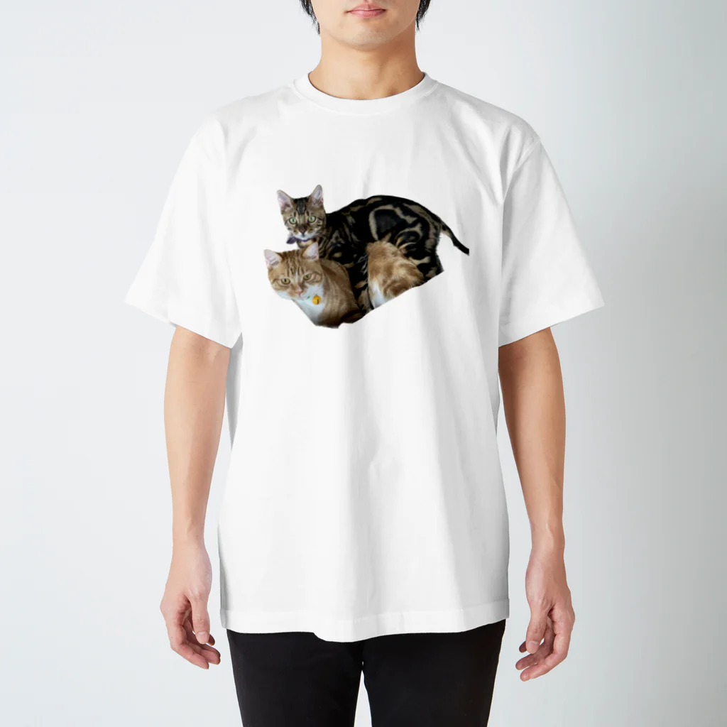 いくママ 猫との毎日の仲良し スタンダードTシャツ