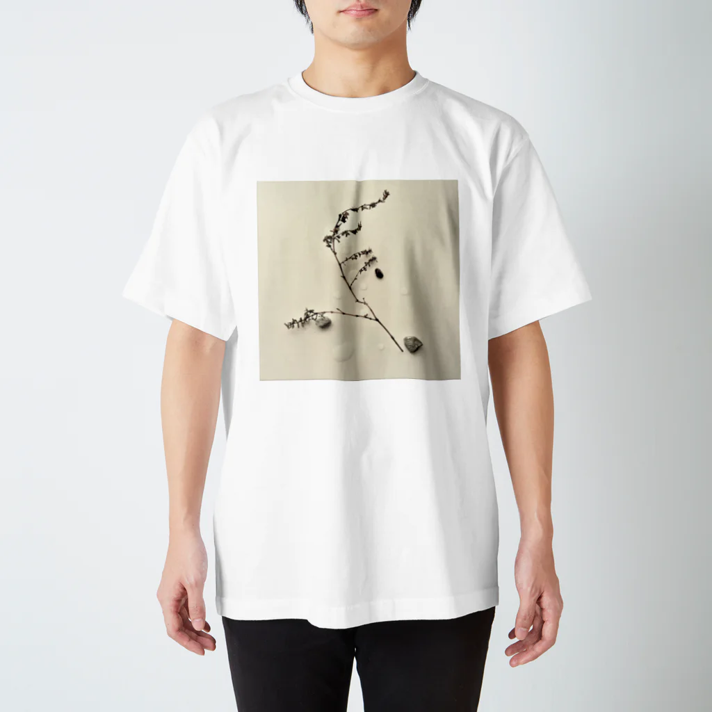 ebi-ikaのkare-san-sui スタンダードTシャツ