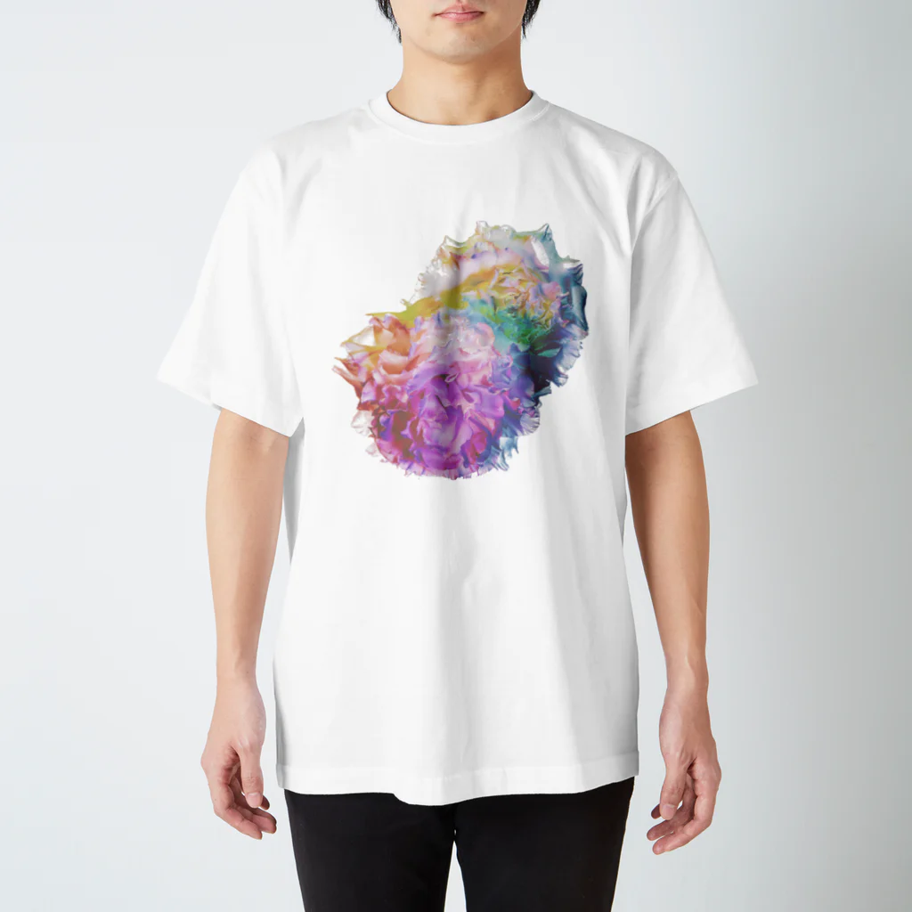 K_flowerのRainbow Carnation スタンダードTシャツ