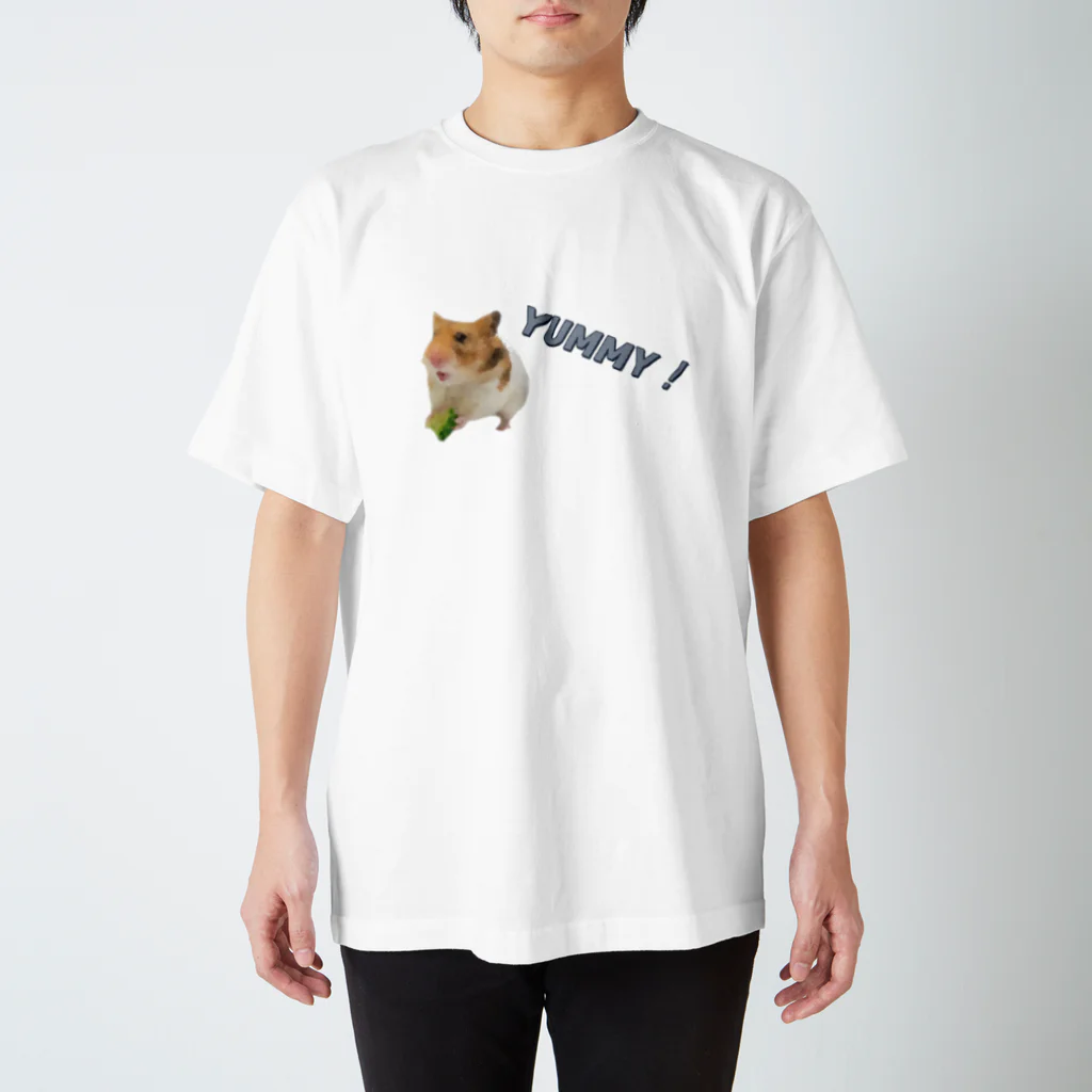 しぇいどりあーんのみたらしもち子 Regular Fit T-Shirt