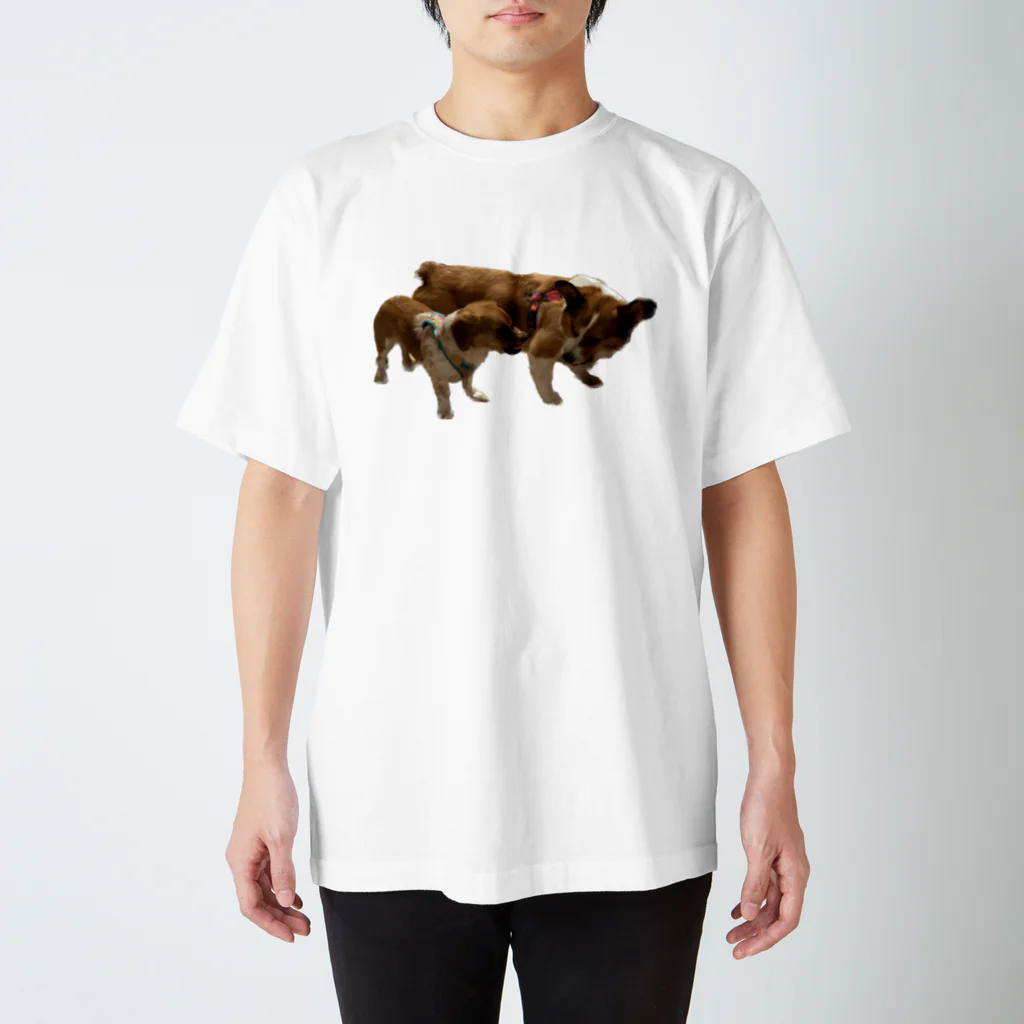 highly competitive dogs shopのバトル毛玉 スタンダードTシャツ