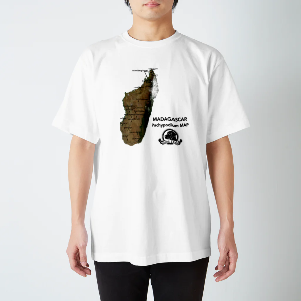 yusuke5629のマダガスカル パキポディウムMAP Tシャツ スタンダードTシャツ