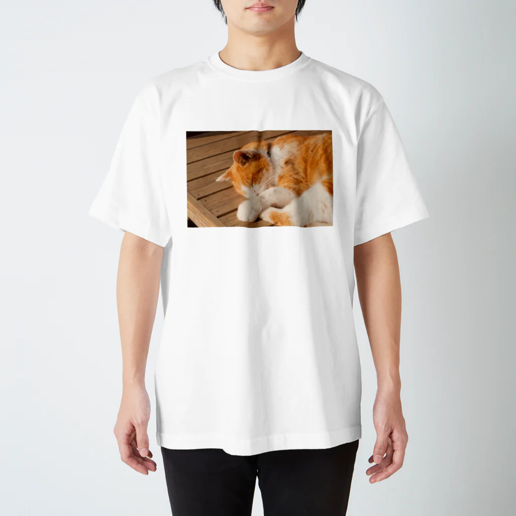 豆柴げんちゃんの鎌倉の猫 スタンダードTシャツ