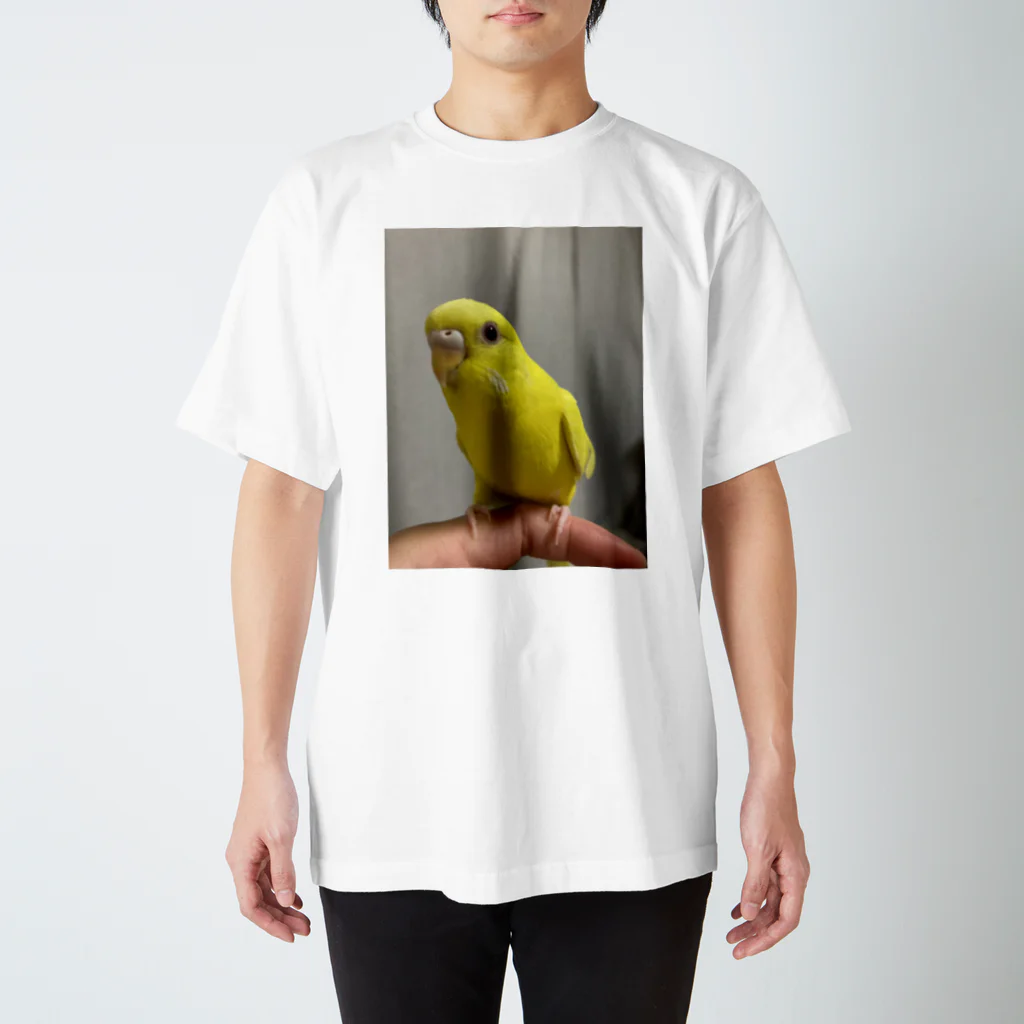 そらゆめインコのルチノーインコ Regular Fit T-Shirt