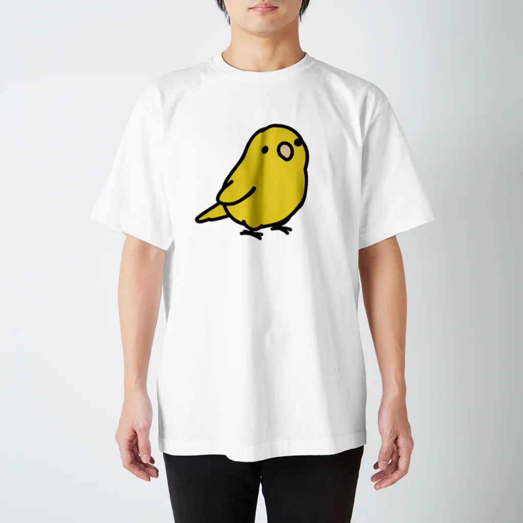 Cody the LovebirdのChubby Bird サザナミインコ Regular Fit T-Shirt