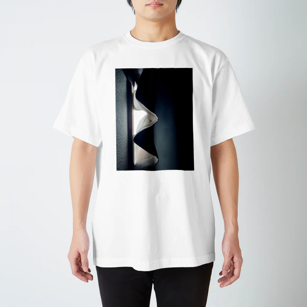 ぱしゃりのカーテン Regular Fit T-Shirt