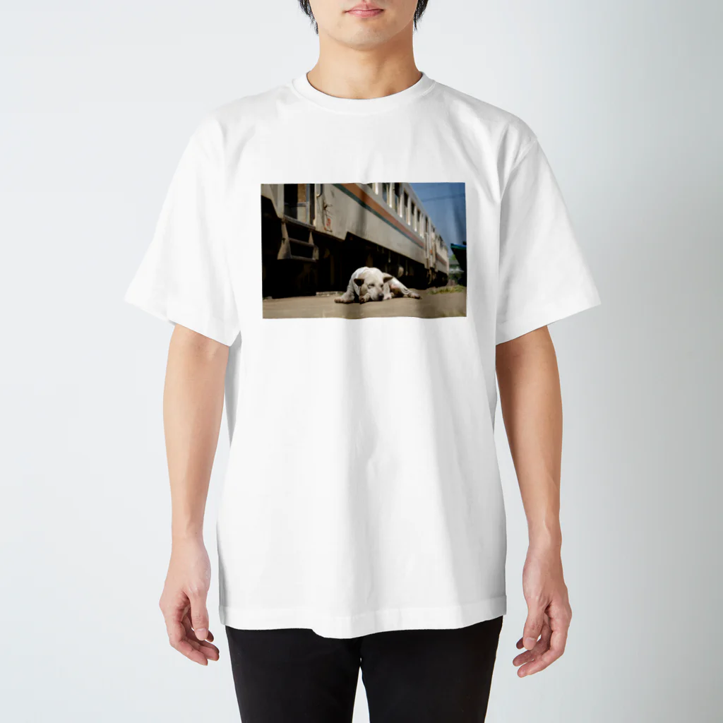 Second_Life_of_Railwaysのミャンマーに渡った元JR東海キハ11系気動車の傍らで眠る野良犬 Regular Fit T-Shirt