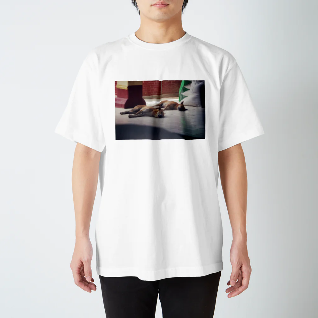 flyingflying__のnap time dog スタンダードTシャツ