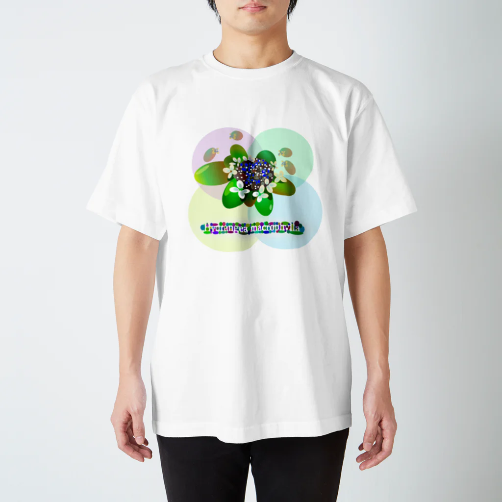 『NG （Niche・Gate）』ニッチゲート-- IN SUZURIの〇絵『額紫陽花h.t.』 スタンダードTシャツ