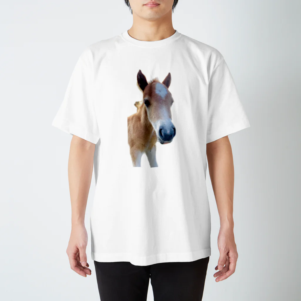 小さなお馬さんのお店の赤ちゃんポニーのルーチェ Regular Fit T-Shirt