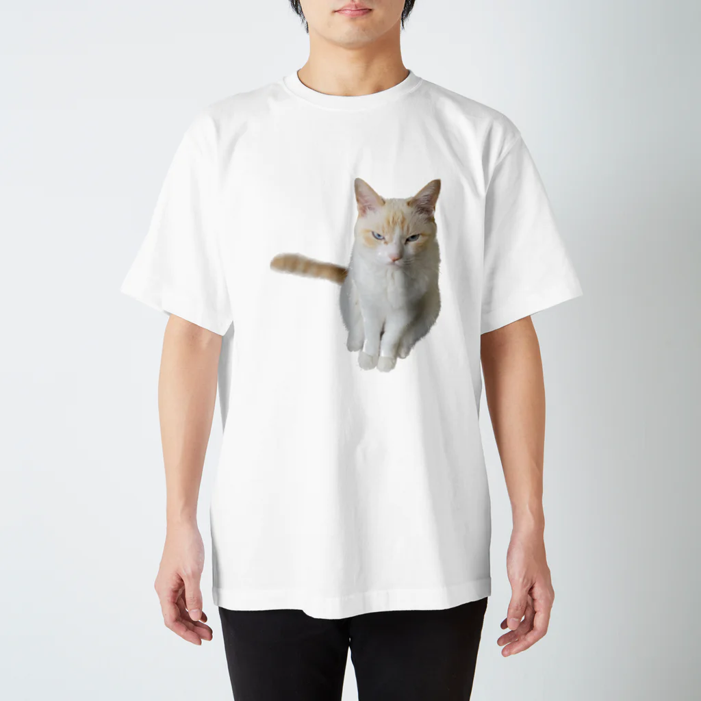 SUGARのangry cat スタンダードTシャツ