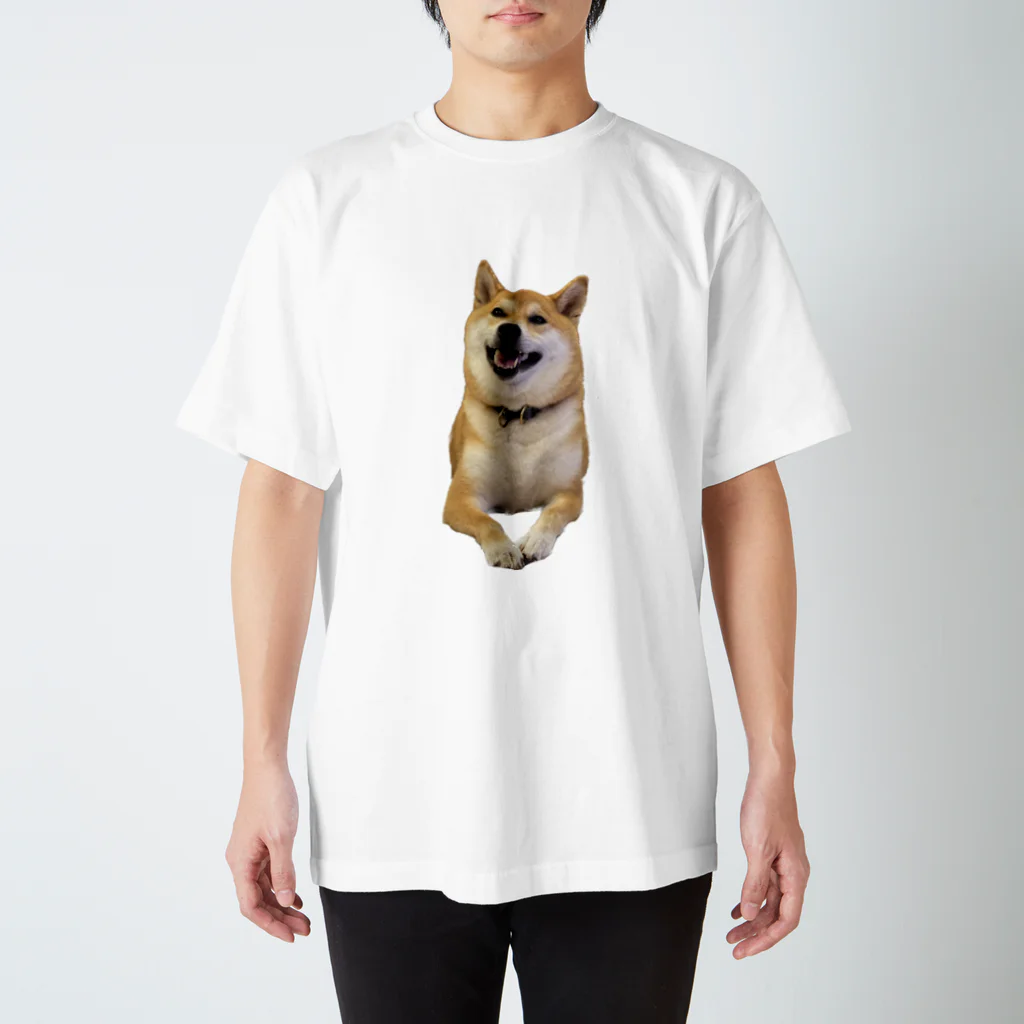 SHIBAOOOOOの柴犬のしばおくん　おすまし スタンダードTシャツ