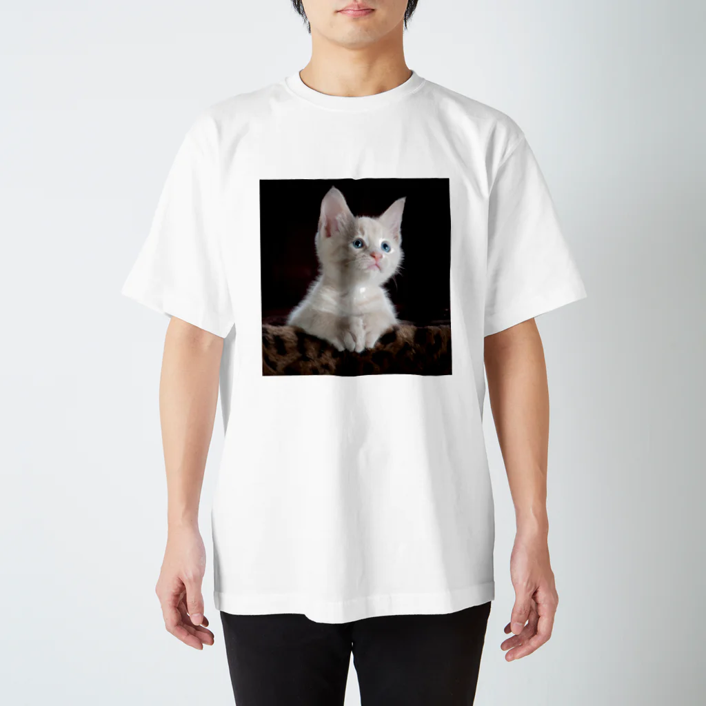 猫アートグッズのTy Swartz《A focused kitten》 スタンダードTシャツ