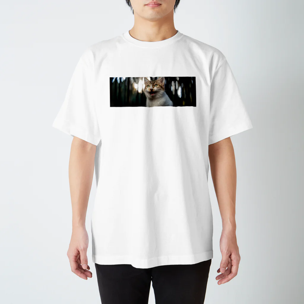 kinoshitasouの森の中で子猫がニャーン♪ Regular Fit T-Shirt