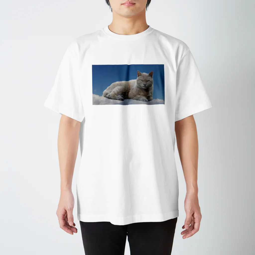 冬の底の猫と青空 Regular Fit T-Shirt